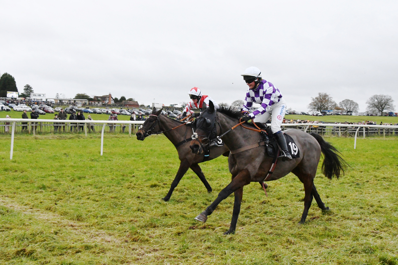 Olive hoping to fly high on Festival debut, Weatherbys Point-to-Point ...