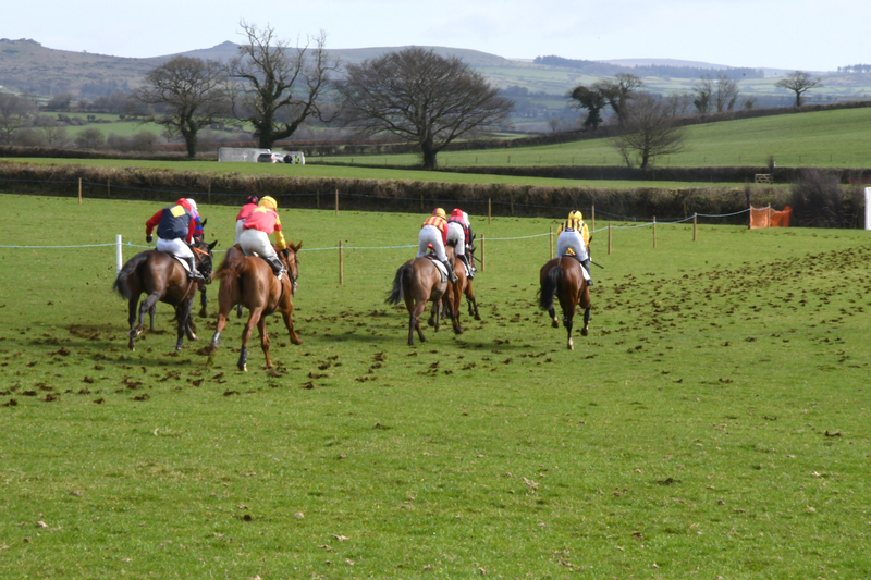 Overton gets thumbsup on record day, Weatherbys PointtoPoint