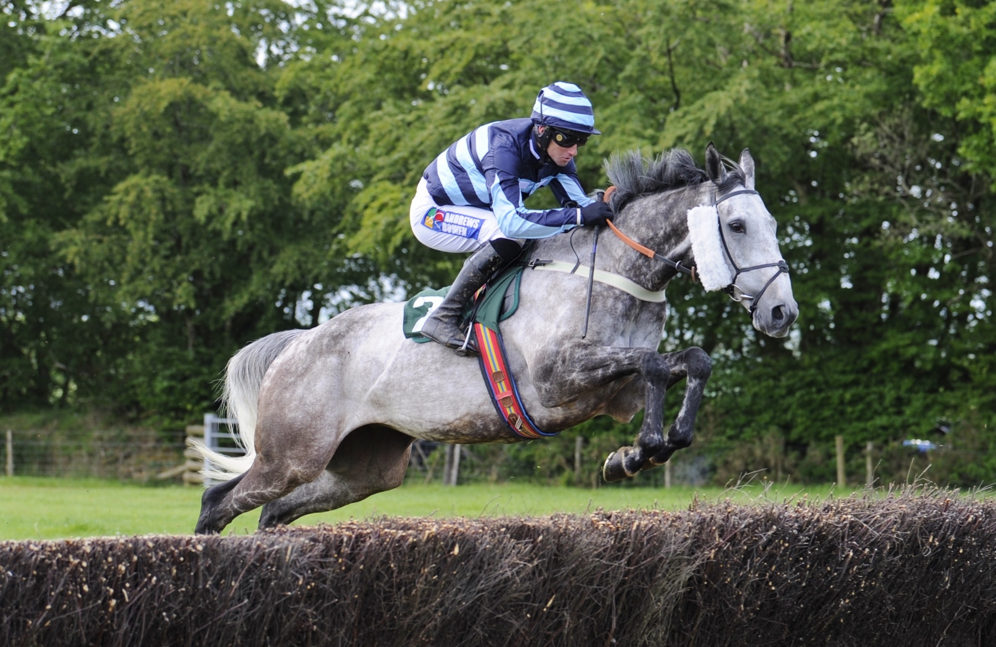 Ballyknock cloud will biddick 1st mixed open