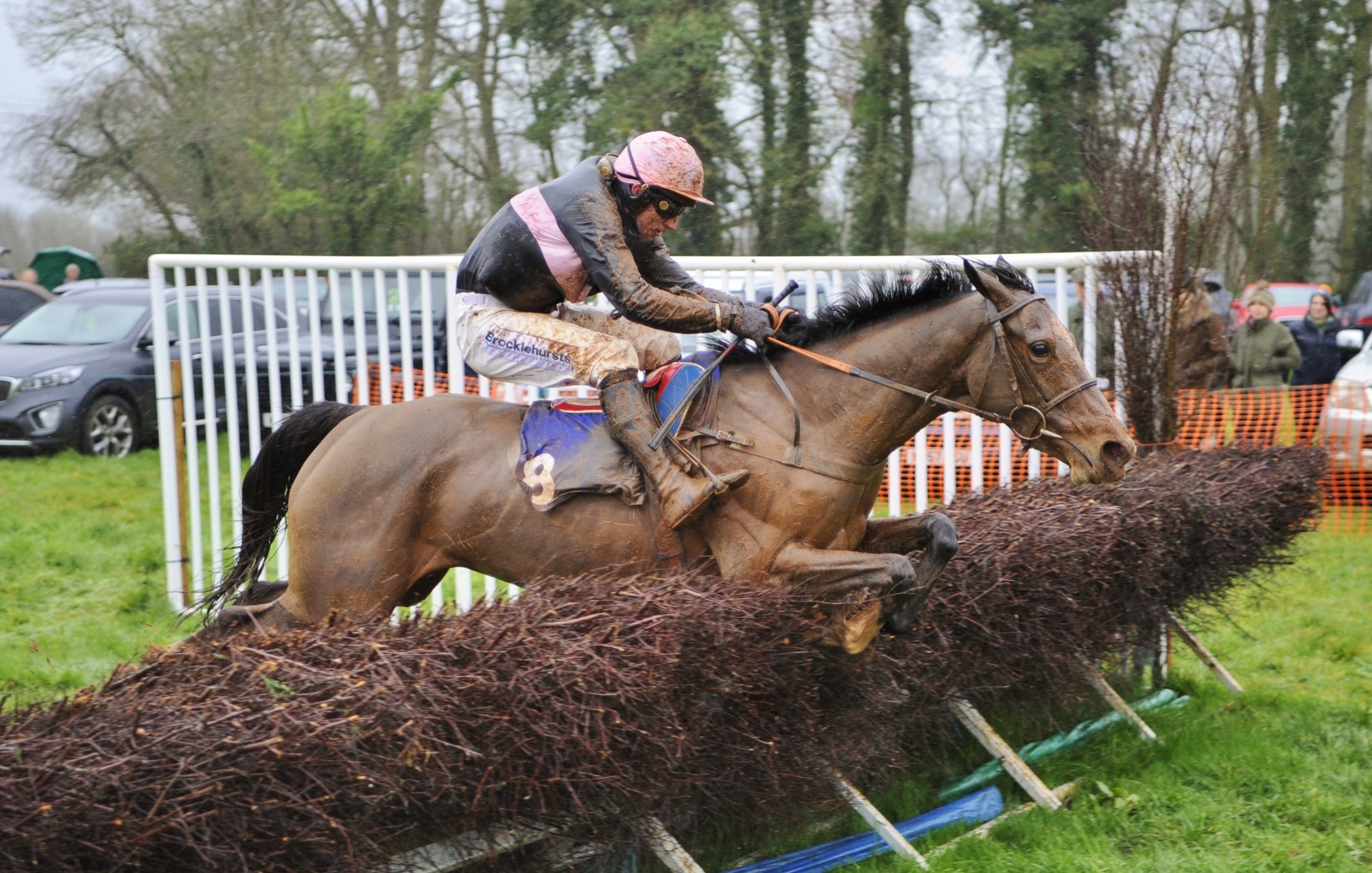Sylvies dance will biddick 1st restricted race